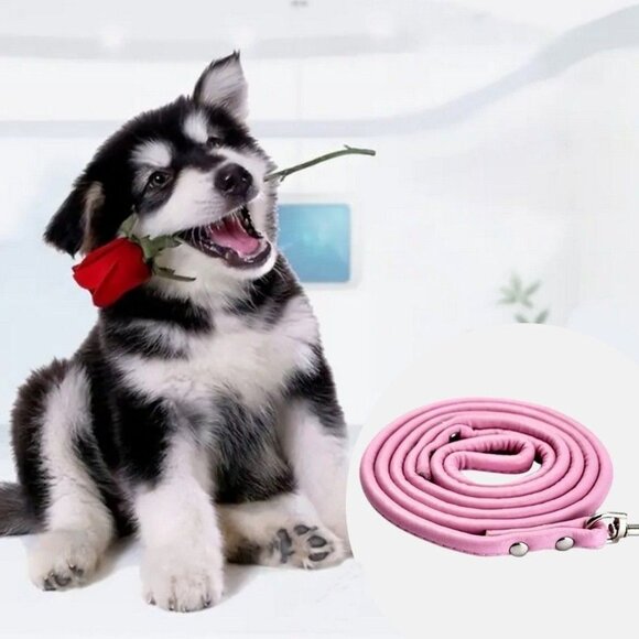 Colorful Favorites Other - Xander Rey Pink Leather Dog Leash Gift Packaged